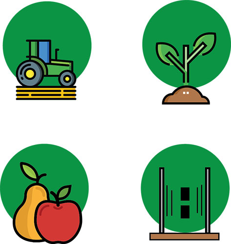 Illustrations (for website)