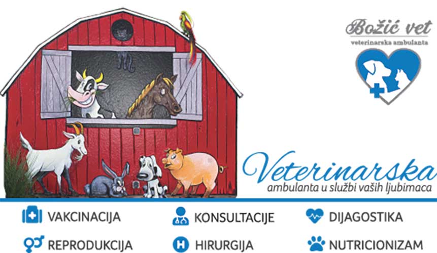Business card („Božić-Vet“)